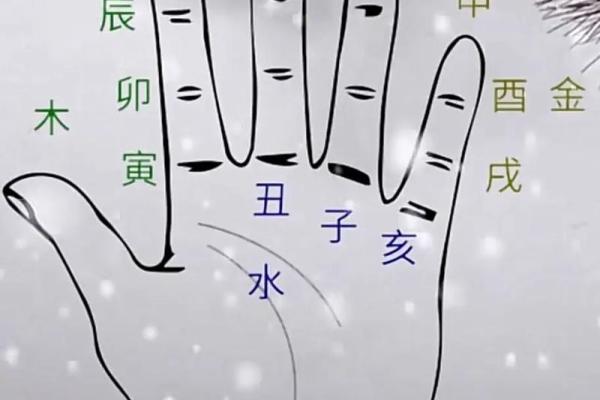 隐藏在角落的智慧，地支暗藏的惊人内幕