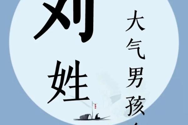 优雅有力的刘姓男孩名字精选，家长必看