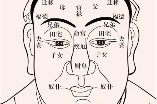 面相解析：眼距宽广的神秘面相解读