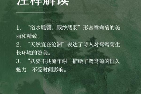 探索高唯名字背后的深层寓意与象征