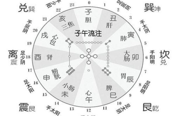 亥时养身之道：地支揭秘人体最佳休息时段