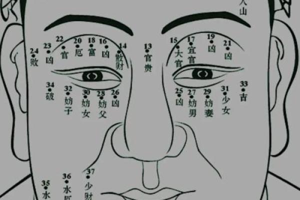 痣相解读：揭秘不同说法背后的神奇秘密！