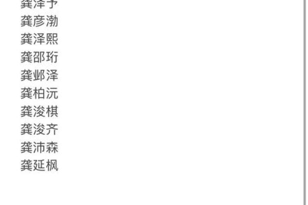 龚宝宝2017年经典名字推荐