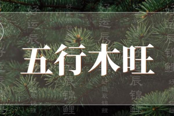 英五行理论：文化与命运的桥梁