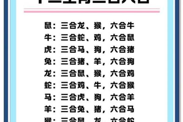 地支库大揭秘：探寻生肖背后的神秘力量