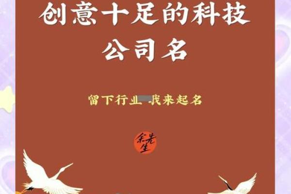 从创意到市场：科技公司名字的选取技巧