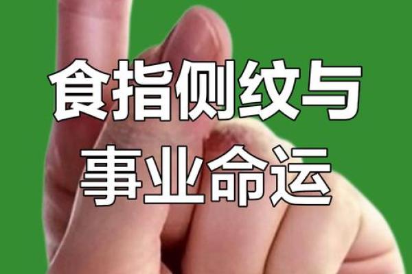 掌中运势，德线揭示