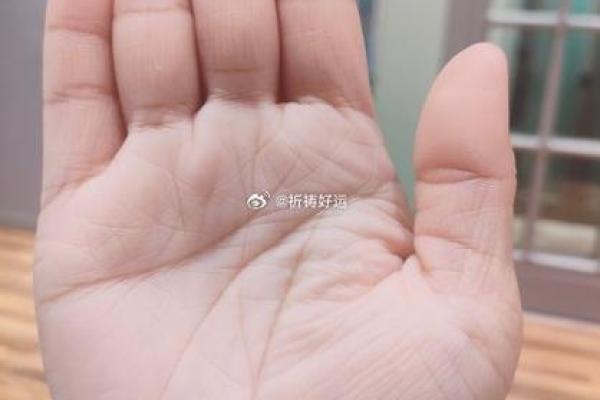 中年逆袭，手相揭秘转运密码！