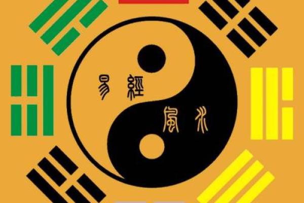 招财猪风水秘籍：揭秘最旺财的摆放位置，让你的钱包鼓起来！