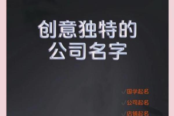 打造独特品牌：体育公司起名创意大解析
