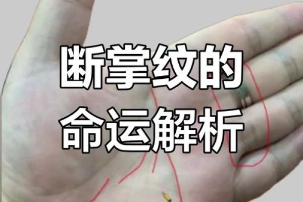 神秘断掌解码，揭秘命运走向！