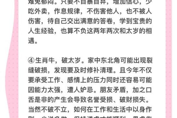 地支害太岁，如何调整运势？专家为你支招