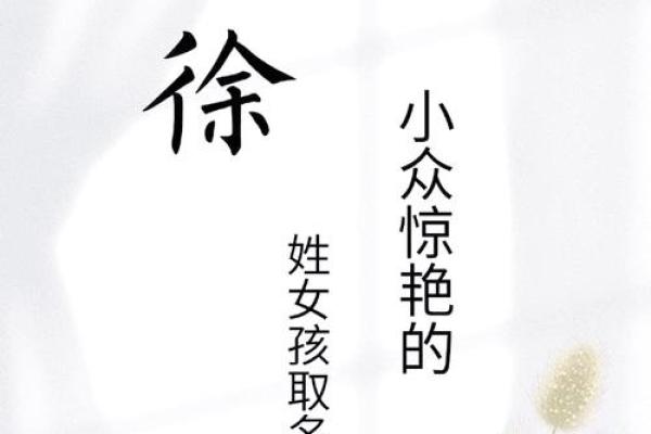萱沁：温婉与力量并存的独特名字解析