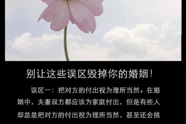 地支冲合婚攻略，助你避开婚姻误区，幸福美满