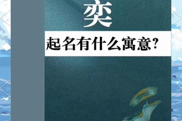 弈五行属于哪一类
