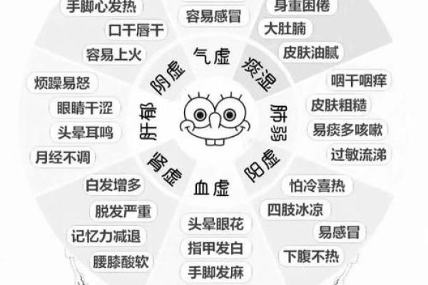 卯时养生法则：地支智慧助你养生更有效