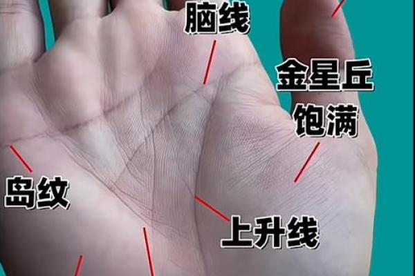 手相大师教你，自己就能看透运势！