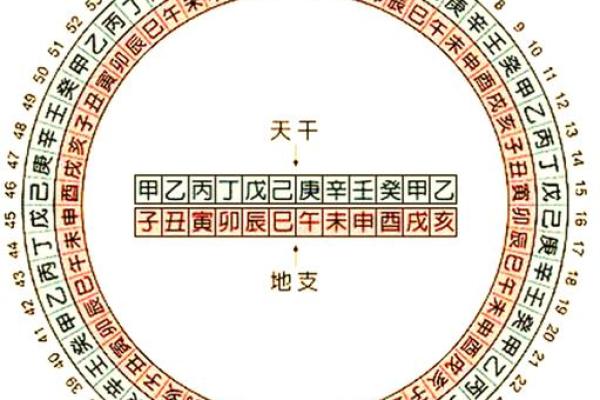 独家揭秘：地支出水背后的秘密
