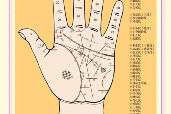 命运之手：手相大师教你识破苦命人生！