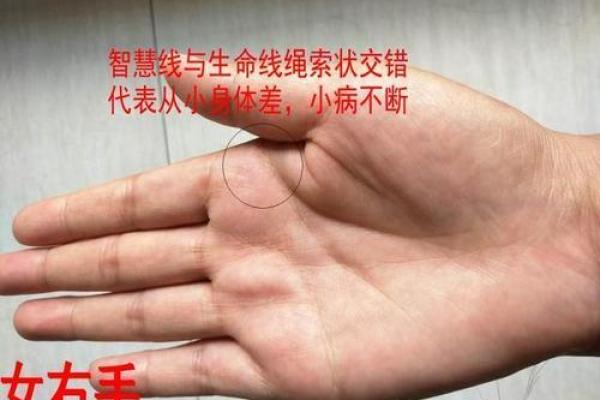 命运之手：手相大师教你识破苦命人生！