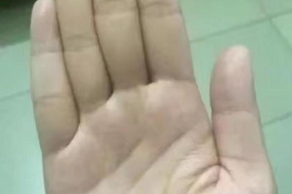 木型手相揭秘：好运势不可挡！