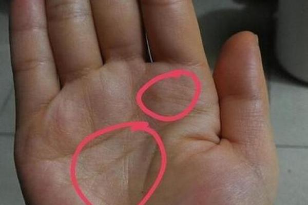 一旦手相外露，命运将发生惊人反噬！