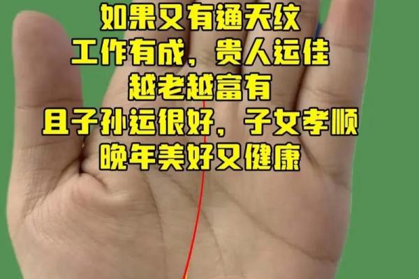 手相中的富贵印：如何一眼识别有钱人