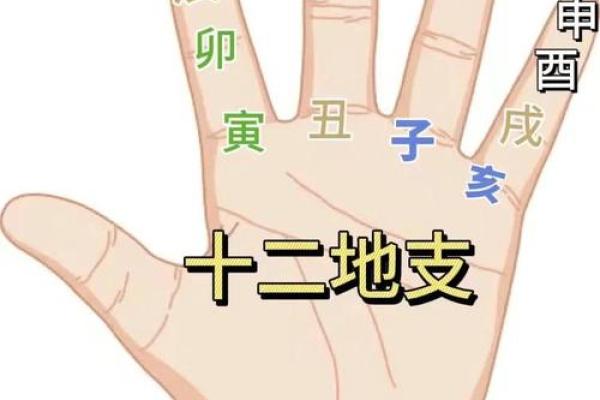 天地奥秘，十二地支背后的神奇传说大起底