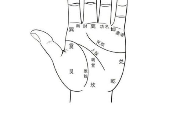 手相揭秘：真实预知未来，你的命运如何？