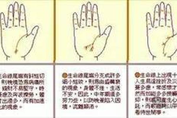 手相揭秘：真实预知未来，你的命运如何？