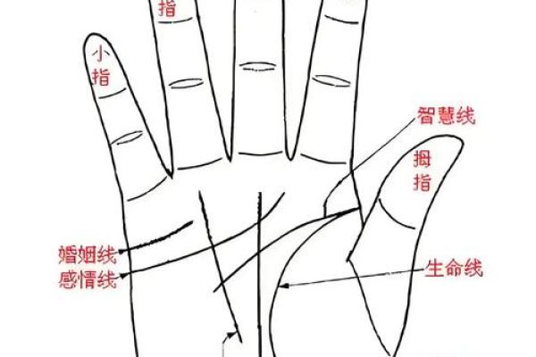 指尖上的命运秘码：揭秘手相读心术