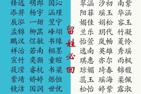 狗年宝宝：创意独特的名字灵感