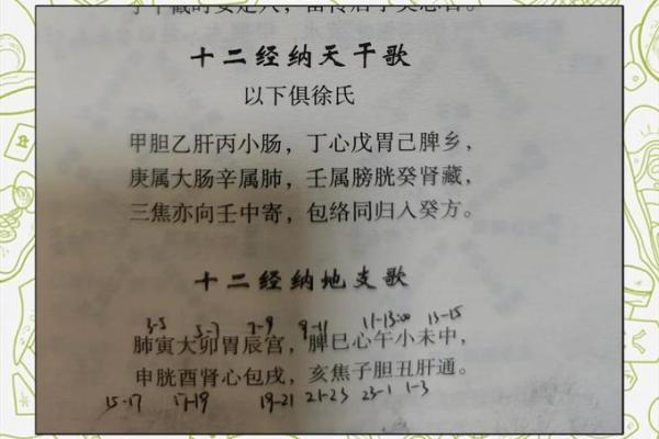 酉时月华：探寻十二地支的神奇传说