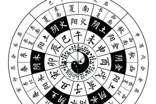 酉时月华：探寻十二地支的神奇传说
