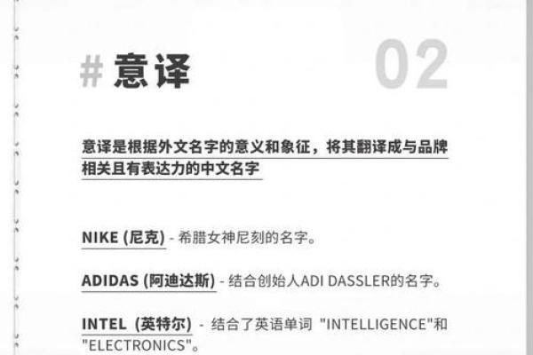 音译公司名字的重要性与命名技巧
