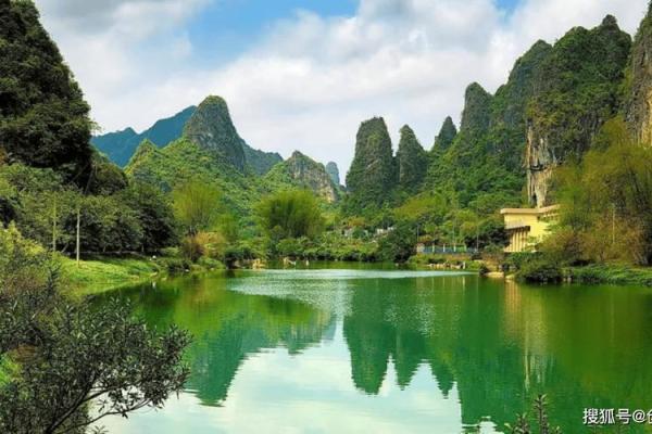 潮起潮落：地支水生肖的命运轮回之谜