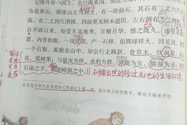 猴王赐名：向氏猴宝宝风采展现