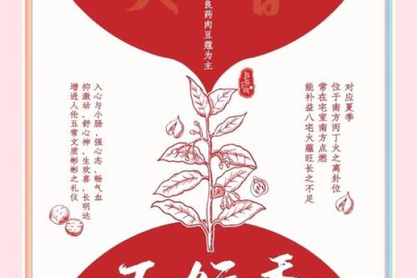 五行属火行业的特点与投资潜力