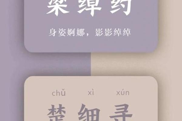 王旻：探索名字背后的文化与寓意