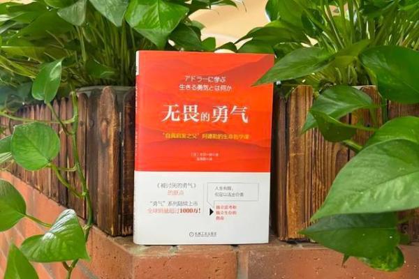 驰骋人生：地支相冲后的无畏挑战