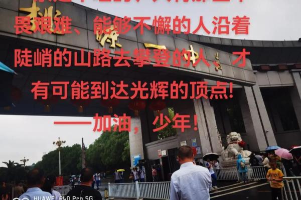 驰骋人生：地支相冲后的无畏挑战