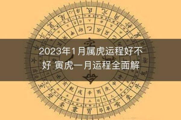 寅虎崛起：2023年运势大揭秘