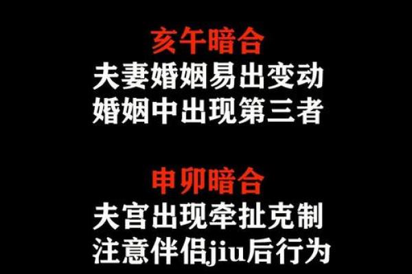 生肖暗合秘术：揭秘地支之间的神秘联系