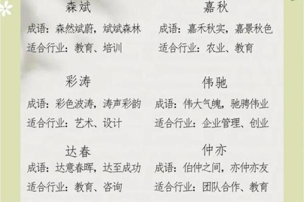 为公司命名加上美字，传递高端与品味的成功策略