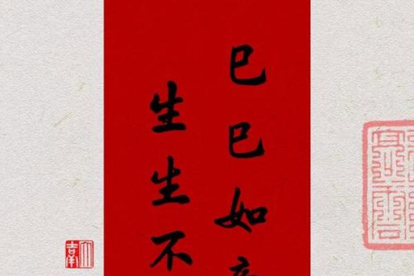 巳时养生秘诀：健康生活从巳时开始