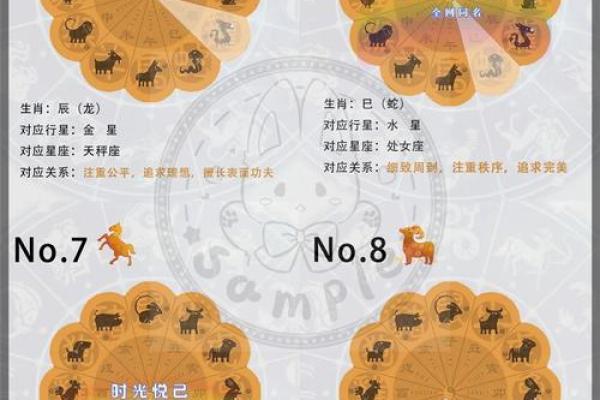 神秘十二生肖，地支秘籍大揭秘