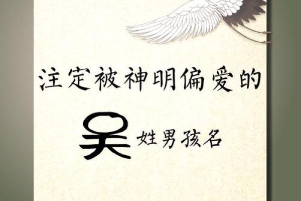 名门之子，吴姓宝宝起名精选