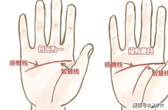 命理断掌，一眼看穿人生运势