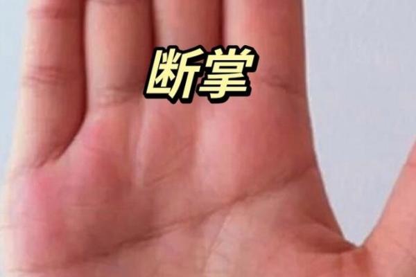 命理断掌，一眼看穿人生运势