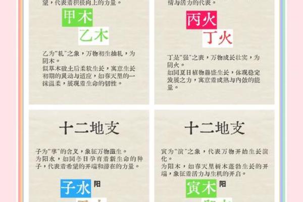 神秘轮回：天干地支背后的宇宙奥秘